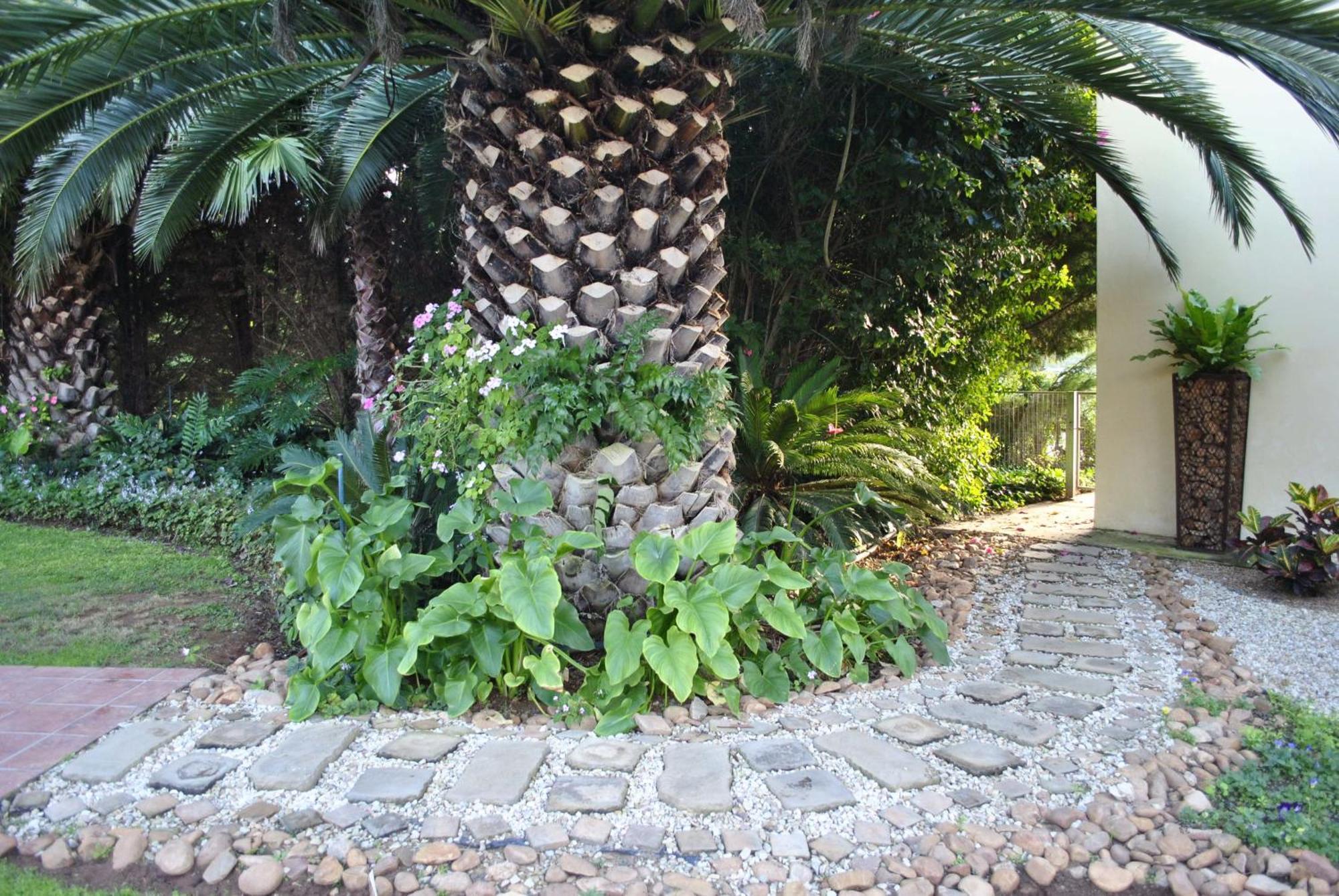 Kududu Guest House Addo Extérieur photo
